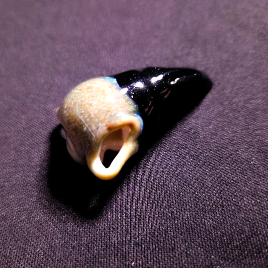 Bird skull pendant (Guya Glass) - 1 piece only