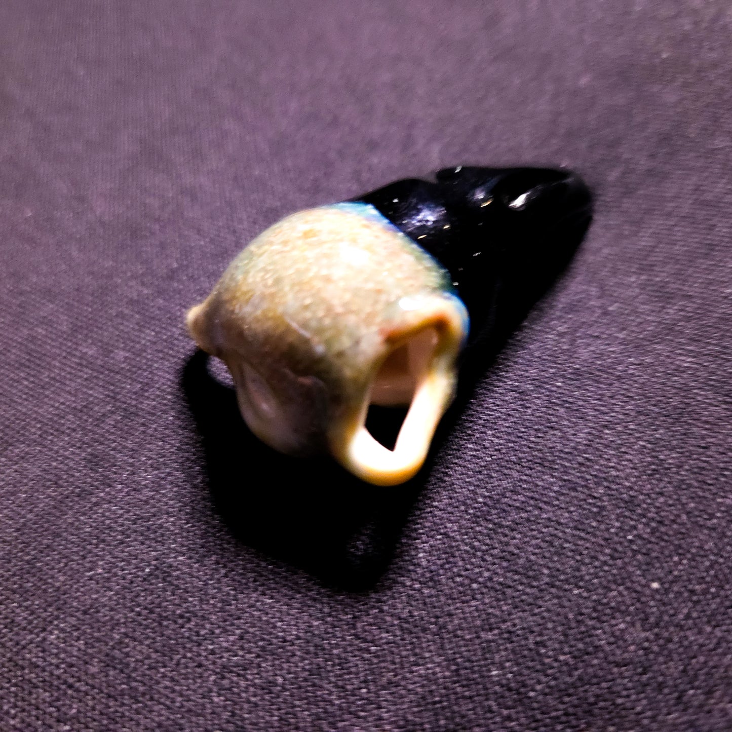 Bird skull pendant (Guya Glass) - 1 piece only